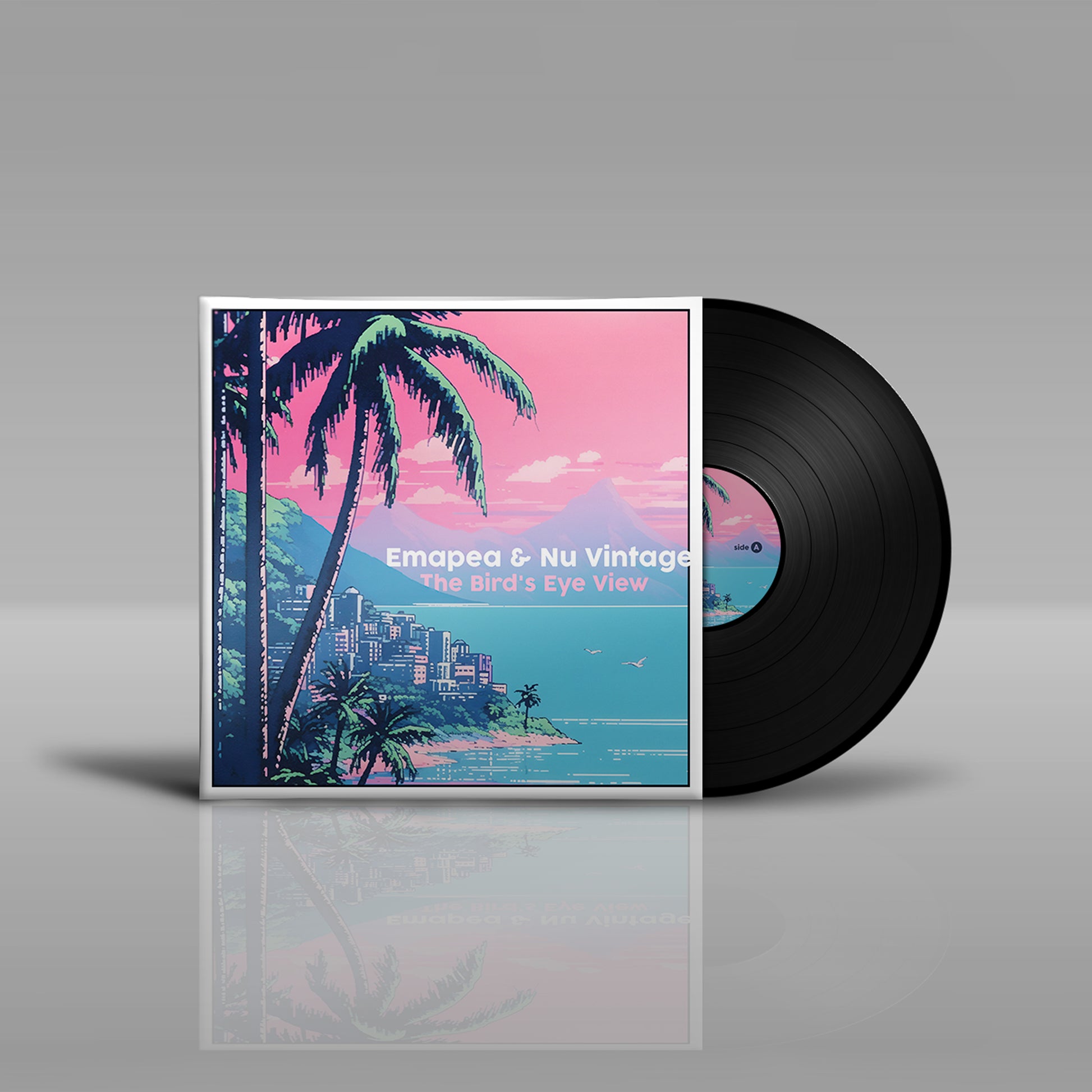 Emapea & Nu Vintage - The Bird's Eye View LP | Black Vinyl Record Edition